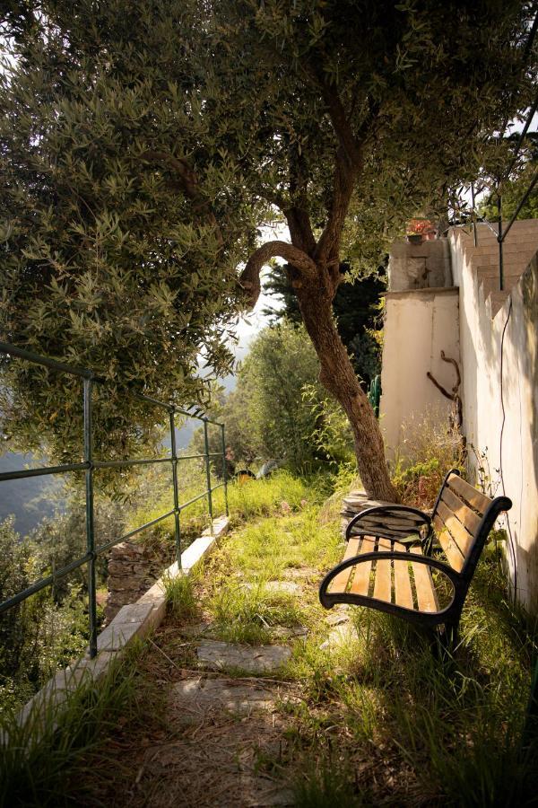 Looky Hotel Sori Extérieur photo